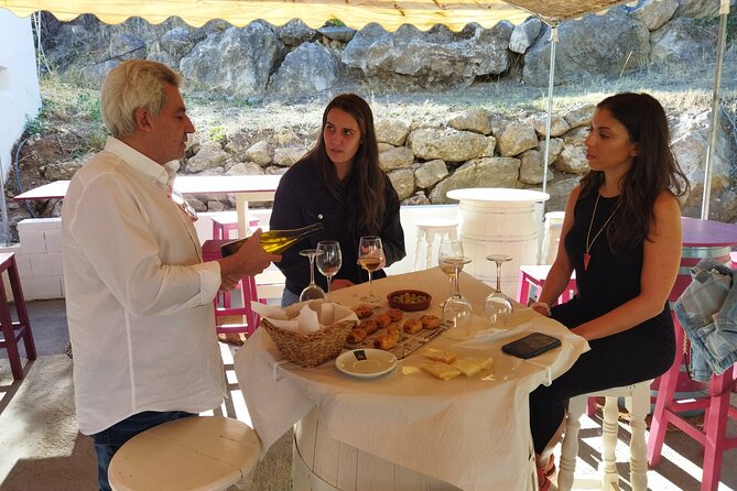 Guided Visit to a Pretty Vineyard&Cellar 6 Wines Tasting & Tapas - Tasting and Tapas Selection