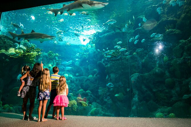 Half Day Antalya Aquarium Tour And Wax Museum - Cancellation Policy