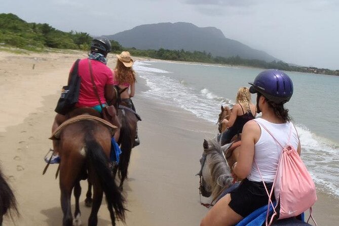 Half-Day Beach Horse Back Riding in Puerto Plata - Group Size and Capacity