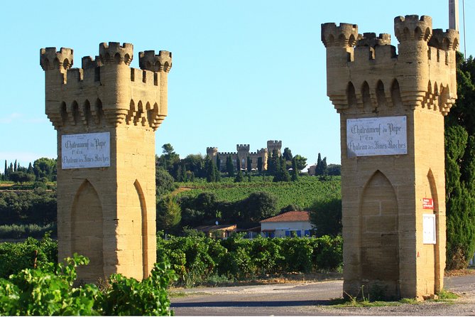 Half Day Great Vineyard Tour From Avignon - Learning About Wine Production