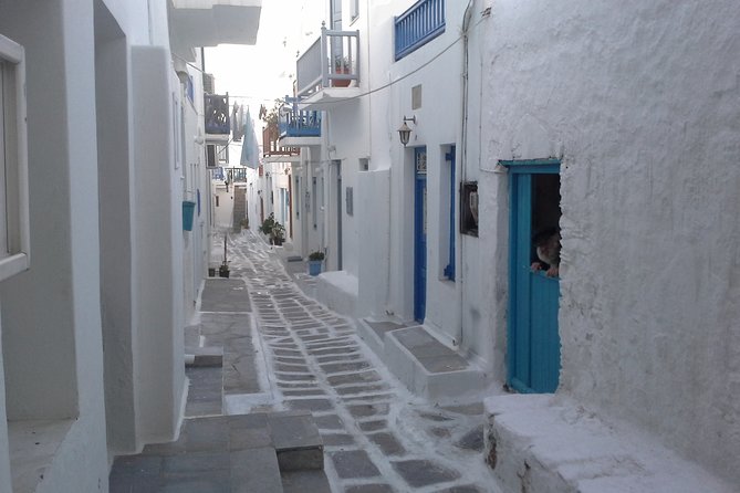 Half-Day Private Guided Tour in Mykonos - Tour Pricing and Guarantee