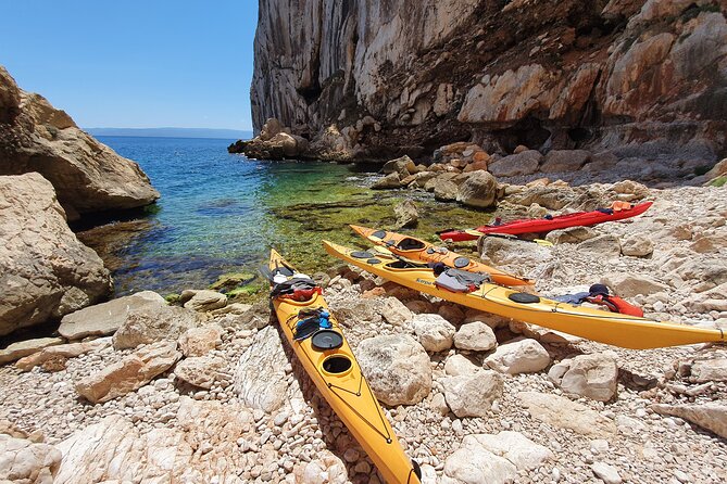 Half Day Sea Kayak Trip - Coastal Exploration and Scenery