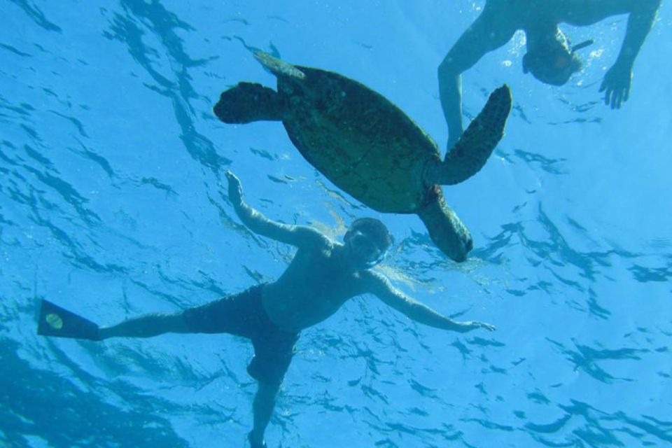 Hawaii: Puuhonua O Honaunau & Kealakekua Bay Snorkel Tour - Frequently Asked Questions