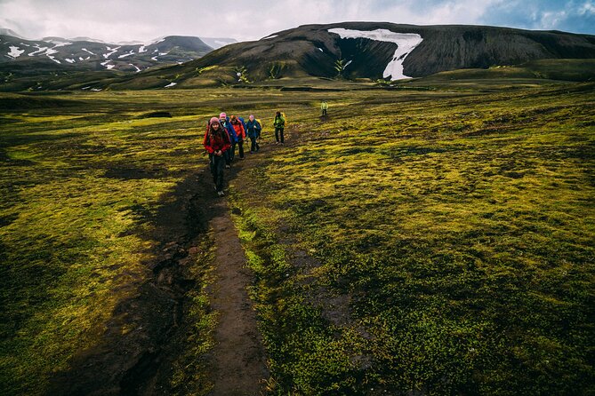 Hidden Trails of Iceland - Adventuring Along Scenic Coastlines