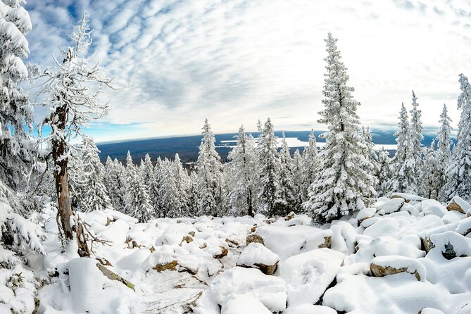 Hike to Frozen Waterfalls of Korouoma Including BBQ Lunch From Rovaniemi - Pickup and Drop-off Details