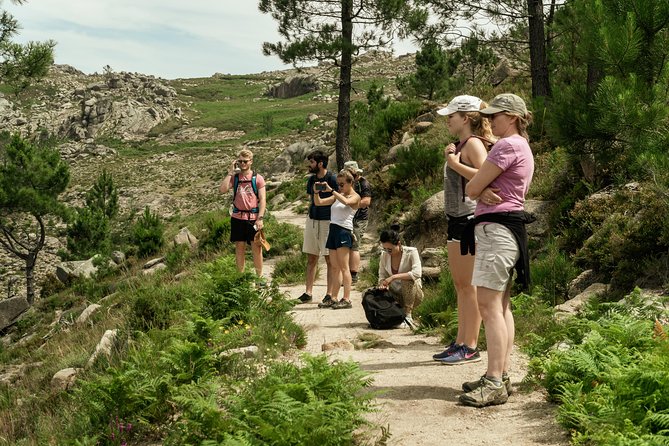 Hiking and Swimming in Gerês National Park - Additional Activity Details