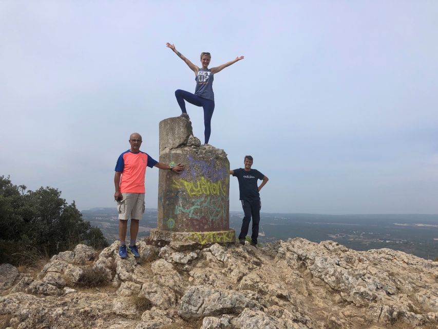 Hiking Tour to the Highest Point of Arrábida Mountain - Local Plant Life