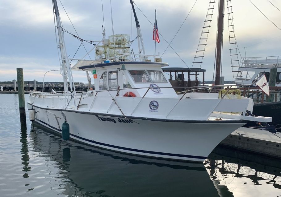 Hilton Head Island: Shrimp Trawling Boat Tour - Days Catch Sorting