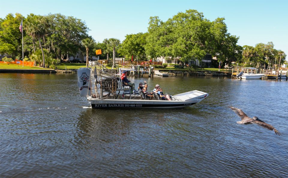 Homosassa: Gulf of Mexico Airboat Ride and Dolphin Watching - Morning Ride Advantages