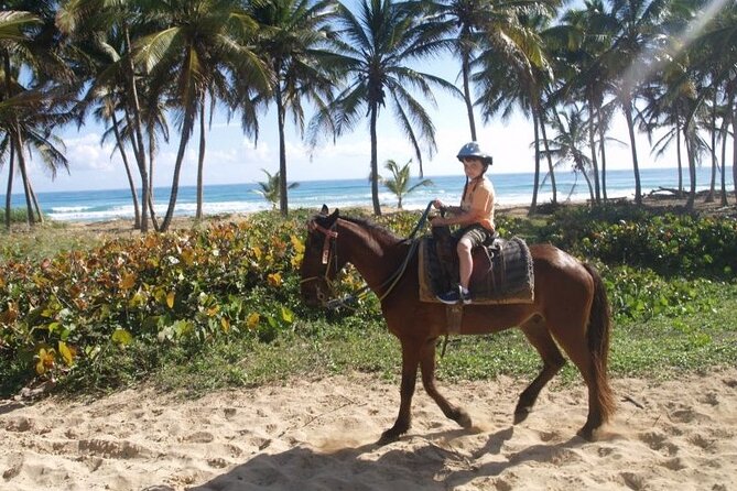 Horseback Riding at Macao Beach - Booking and Reservation