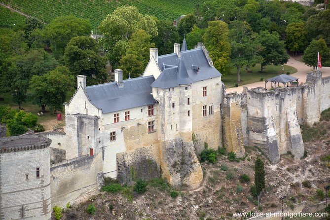 Hot Air Balloon Flight Over the Castle of Chenonceau / France - Flexible Booking Options and Availability