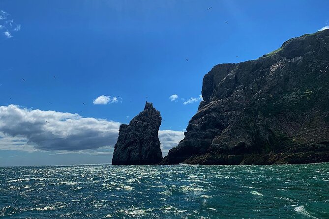 Howth Cliff Cruises - Life Jackets and Live Commentary