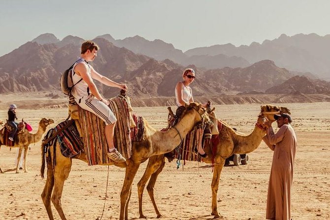 Hurghada: Jeep Safari, Camel Ride & Bedouin Village Tour - Reviews