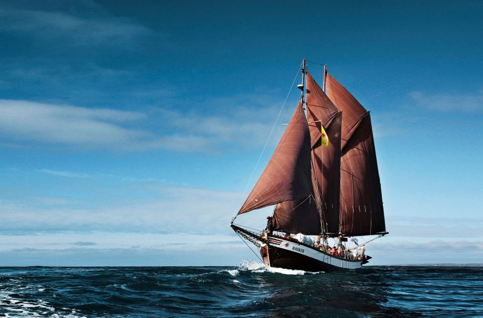 Húsavik: Whale Watching by Traditional Wooden Sailing Ship - Accessibility Information