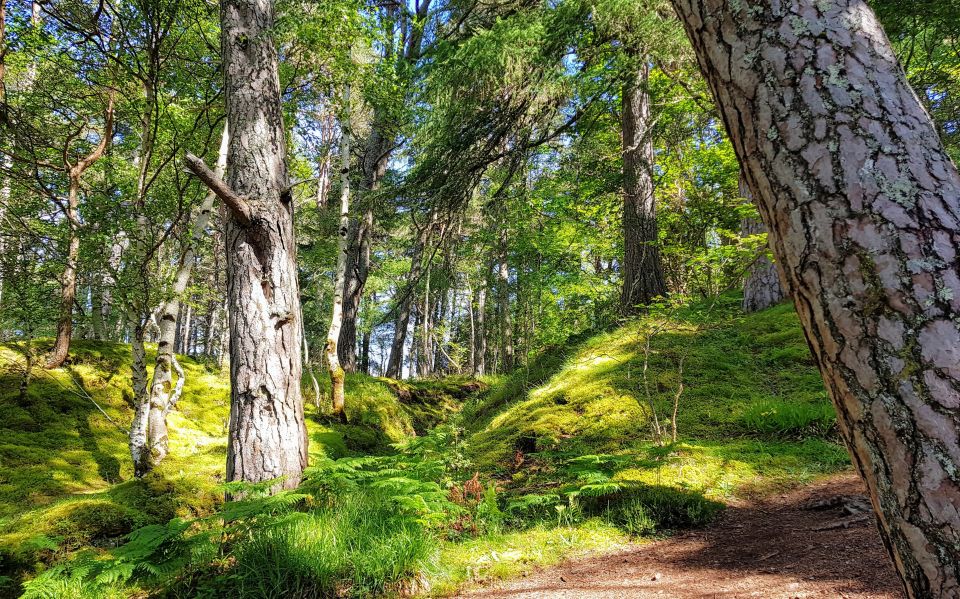 Inverness: Private Secret Hike to the Shores of Loch Ness - Activity Inclusions and Exclusions