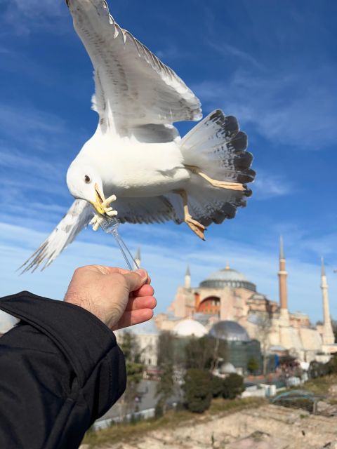 Istanbul: Best of the City Full-Day Tour With Transfers - Topkapi Palace and Hagia Sophia