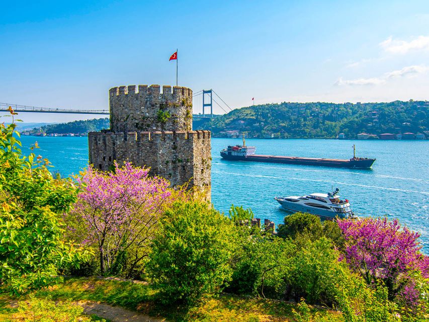 Istanbul: Bosphorus Cruise and Dolmabahçe Palace Day Tour - Dolmabahçe Palace and Bosphorus Bridge