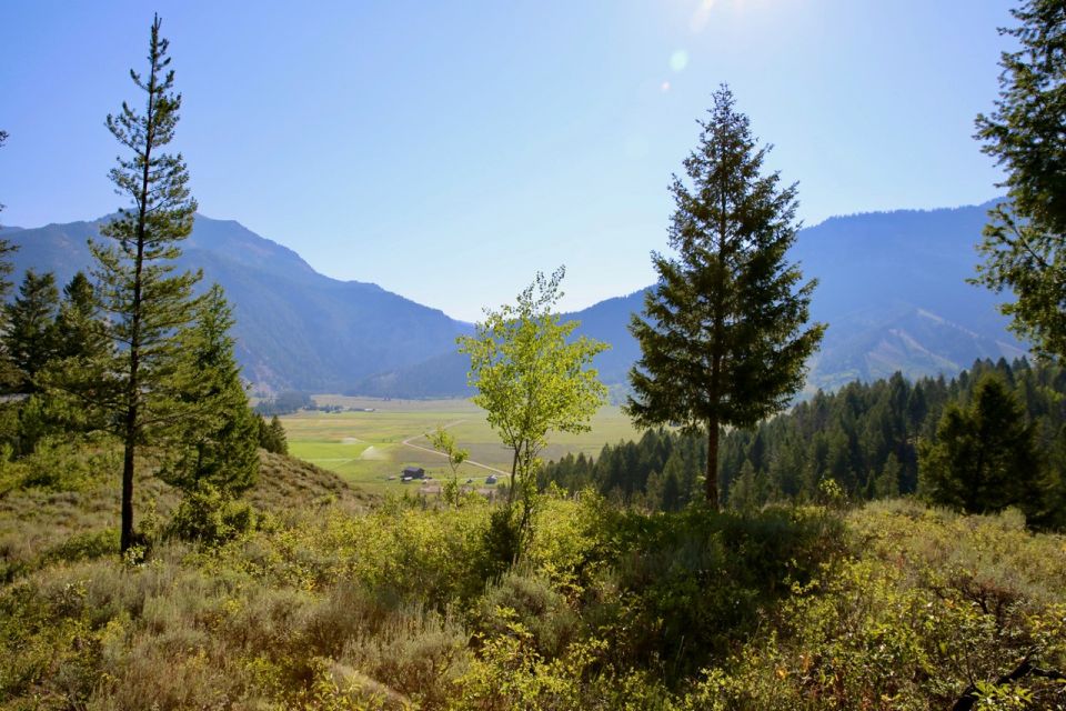 Jackson Hole: Bryan's Flat Guided Scenic Horseback Ride - Frequently Asked Questions