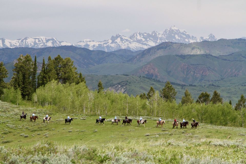 Jackson Hole: Teton View Guided Horseback Ride With Lunch - Lunch and Refreshments