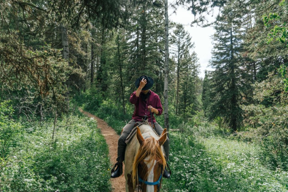 Jackson Signature 1/2 Day Ride Horseback Tour With Lunch - Cancellation Policy