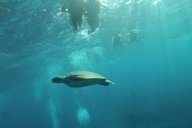 Kayak Route Along the Volcanic Coast in Tenerife South With Snorkeling - Booking Confirmation and Cancellation Policy