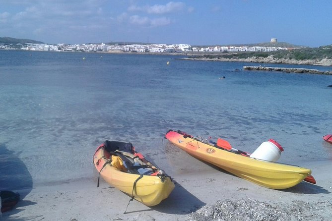 Kayak Tour in the Marine Reserve ! - Meeting Point and Pick-up Details