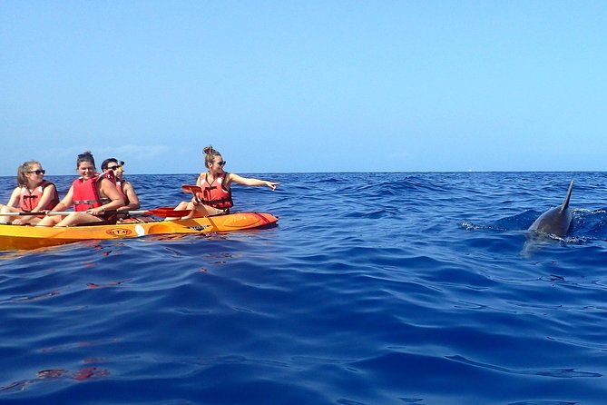 Kayaking With Dolphins and Turtles and Snorkelling in Tenerife - Cancellation Policy