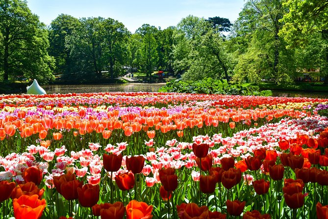 Keukenhof Gardens & Tulip Experience Guided Tour From Amsterdam - Cancellation Policy