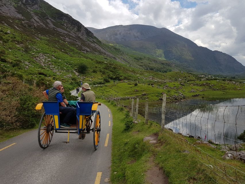 Killarney: Lakes of Killarney Boat Tour With Transfer - Important Information