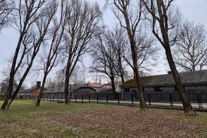 Krakow: Auschwitz Birkenau Tour - We Don't Cancel 100% Warranty - Lunch and Transportation Options