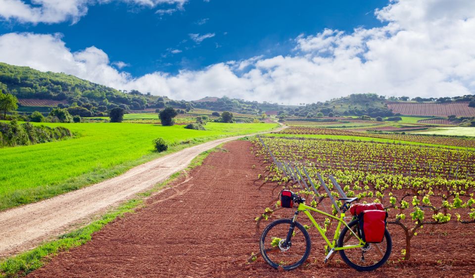 La Rioja: Private Tour to 3 Wineries With Tastings - Bodega Ysios