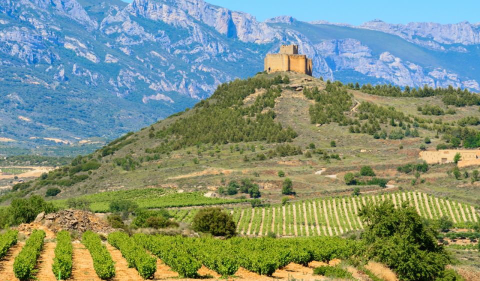 La Rioja Vineyards Private Tour From Bilbao (3 Vineyards) - Discovering Spanish Winemaking