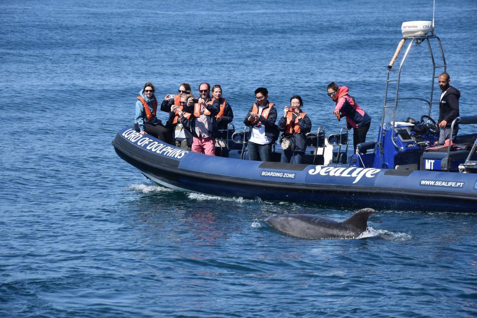 Lagos: Dolphin Watching Boat Tour With Marine Biologists - Customer Reviews