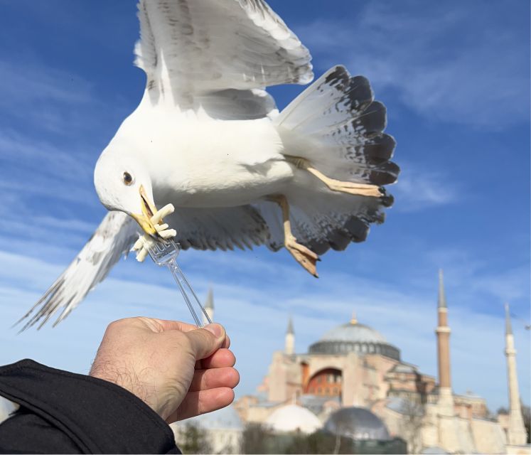 Layover Private Guided Istanbul City Tour With Transfers - Discover Sultanahmet Square