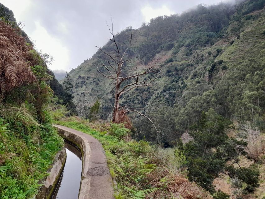 Levada Nova - Taken From the Mill by Overland Madeira - Hiking Distance