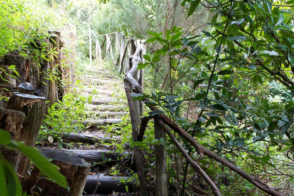 Levada Walk and Caldeirao Verde Waterfalls: Madeira - Customer Reviews