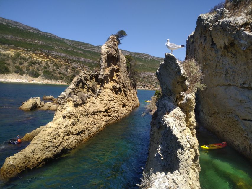 Lisbon: Arrábida All-Inclusive Kayak Adventure Tour - Snorkeling the Reserve