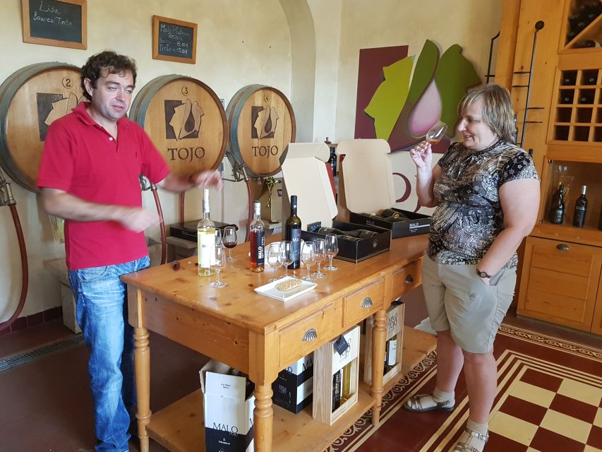 Lisbon: Arrábida Culture, Wine & Gastronomic Experience - Touring the Palmela Winery