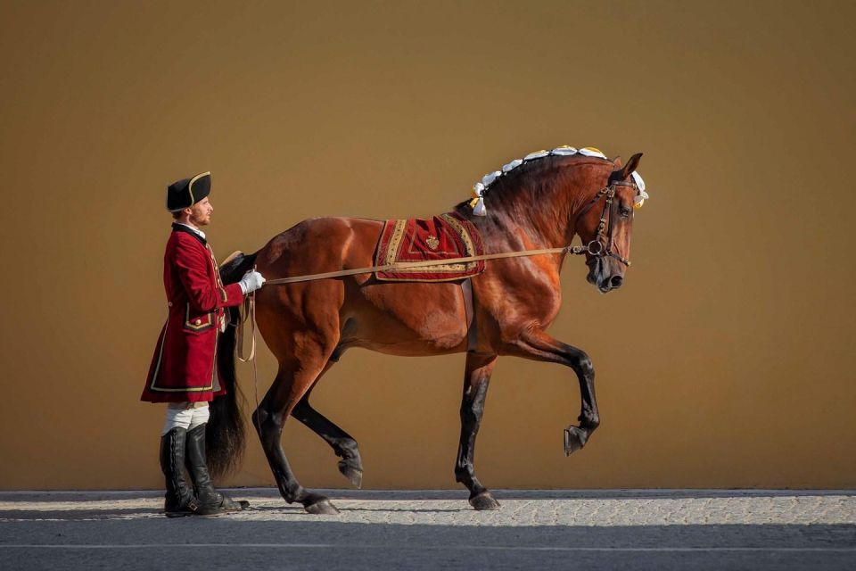 Lisbon: Morning of Equestrian Art With Lusitano Horses - Confirmation Details