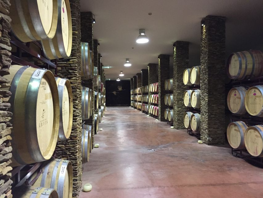 Lisbon: Private Evora Tour With Wine Tasting - Winery Visit and Tasting