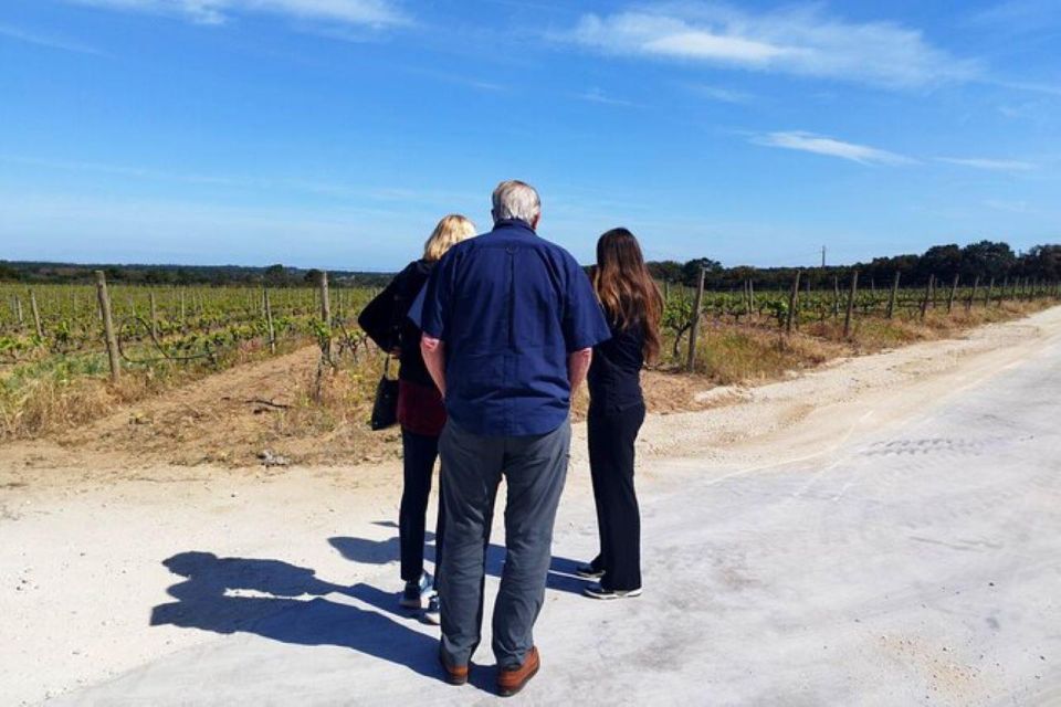 Lisbon: Private Full Day Evora & Alentejo Wine Tour - Inclusions and Amenities