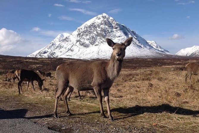 Loch Ness, Glencoe, and the Highlands Day Trip From Glasgow - Stopping at Fort William