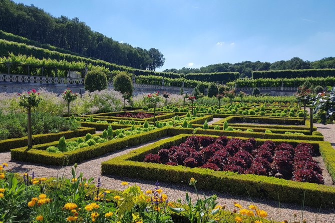 Loire Valley Half Day : Villandry and Azay-Le-Rideau From Tours - Scenic Drive Through Loire Valley