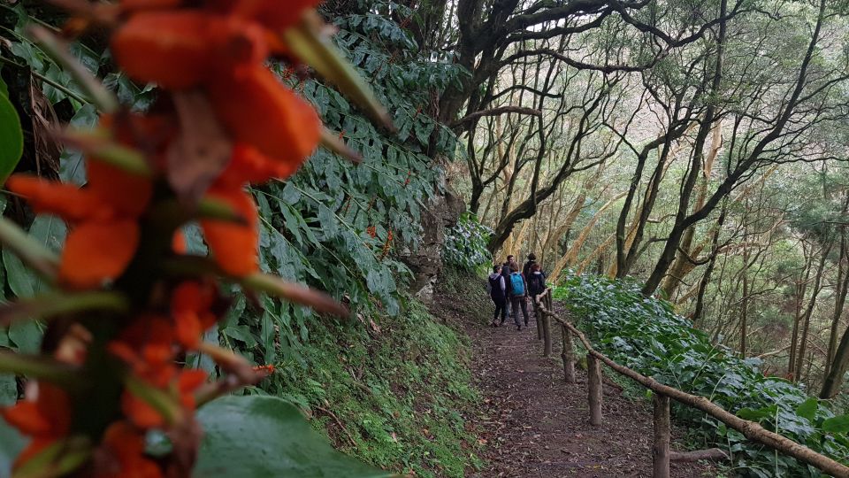 Lomba De São Pedro: Waterfall Hiking Tour With Tea Tasting - Customer Feedback