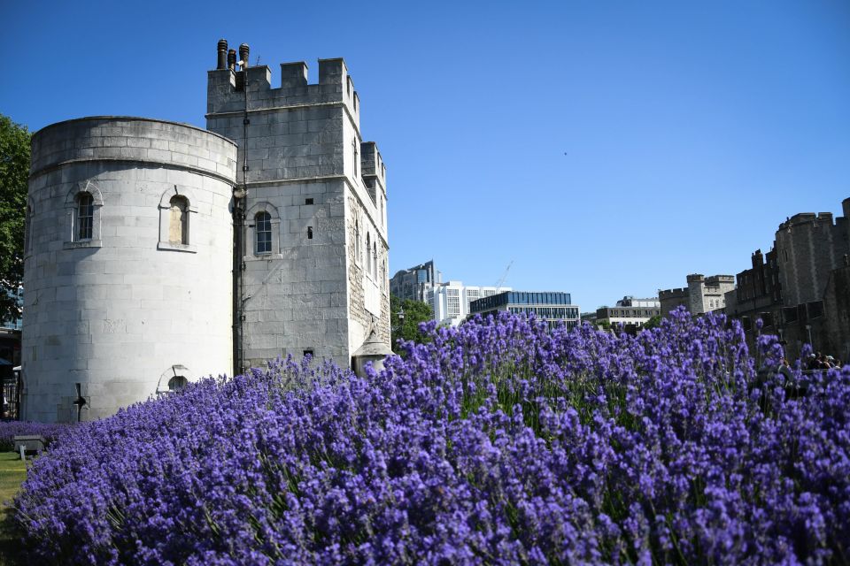 London: Top 30 Sights Walking Tour and Tower of London Entry - Meeting Point