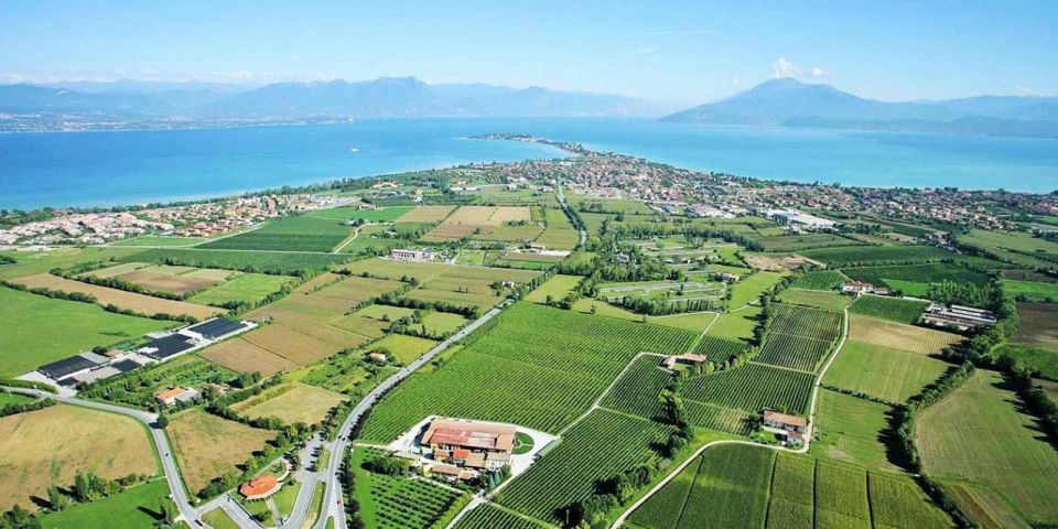 Lugana Wine Tour With Private Panoramic Boat on Lake Garda - Private Guided Tour of Lugana Winery