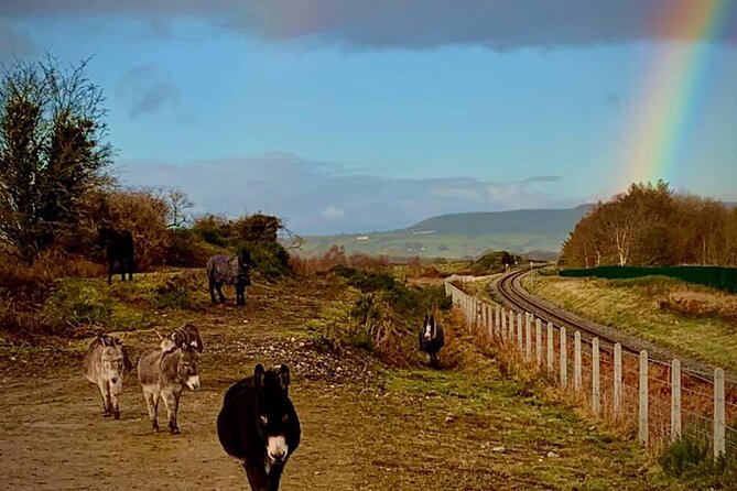 Luxury Photography Day Tour on Ring of Kerry and Skellig Ring - Fully Guided and Chauffeured - Photographers Paradise