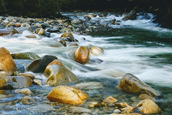 Lynn Canyon Suspension Bridge & Park Photography - Photography Tips