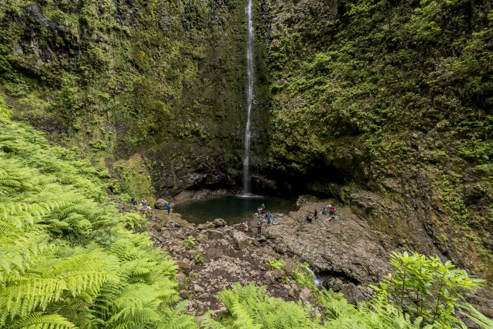 Madeira: Full-Day Laurel Forest Guided Walking Tour - Getting to the Starting Point