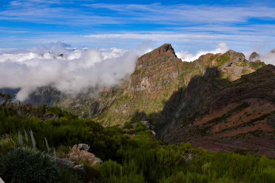 Madeira: Full-Day Private North Coast Tour - Natural Pools